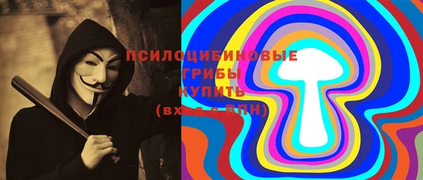 индика Бугульма