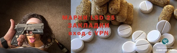 гидропоника Бородино