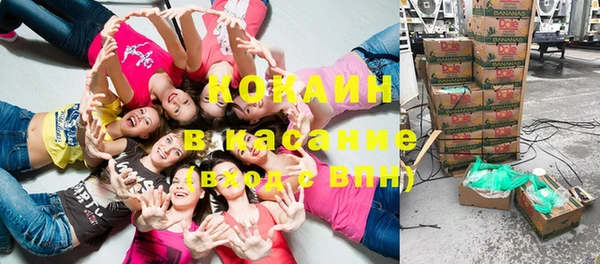 гидропоника Бородино