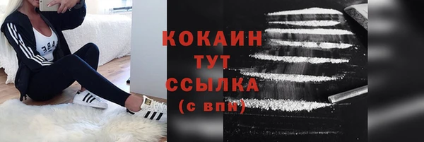 индика Бугульма
