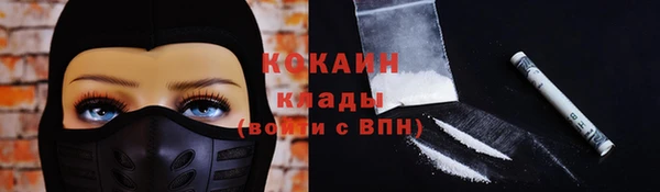 гидропоника Бородино