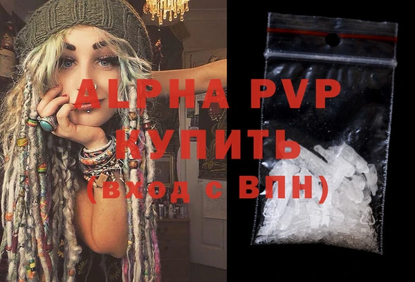 индика Бугульма