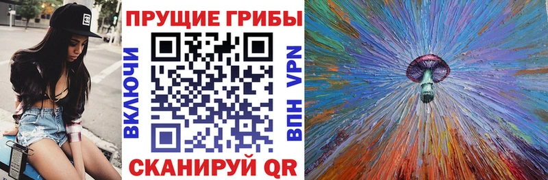 Псилоцибиновые грибы мицелий  OMG ССЫЛКА  Ковдор 